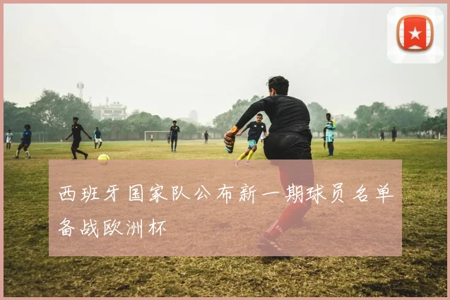 西班牙国家队公布新一期球员名单备战欧洲杯