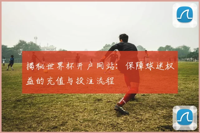 揭秘世界杯开户网站：保障球迷权益的充值与投注流程